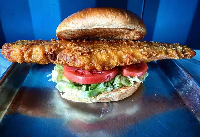 Fried haddock fish sandwich